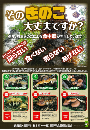 そのきのこ大丈夫ですか?