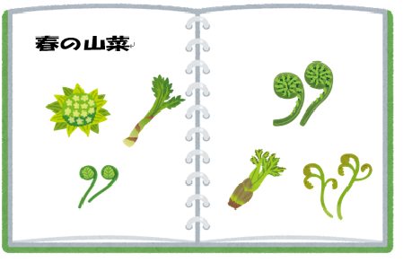 山菜のイラスト
