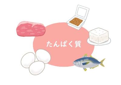 たんぱく質の文字の周りに肉、卵、魚、豆腐、納豆の絵がある画像