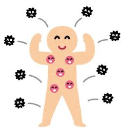 身体の外からのウイルスを体の中にある免疫細胞が守っているイラスト
