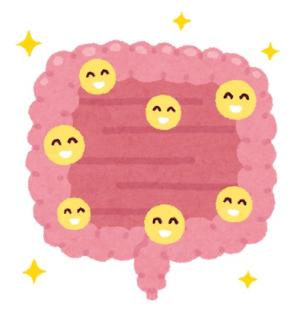 元気な腸のイラスト