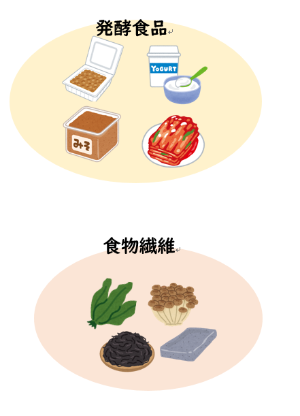 発酵食品と食物繊維を含む食品のイラスト