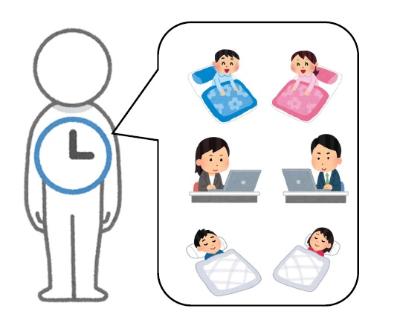 体内時計と日常の活動のイラスト