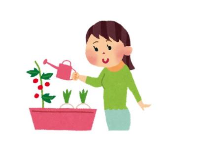 プランターで育てている野菜に水をあげようとしている女の人のイラスト