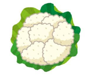 カリフラワーのイラスト