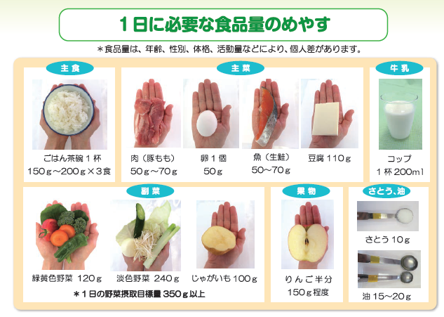 1日に必要な食品量目安を手ばかりしめした表