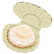 ホタテ貝のイラスト