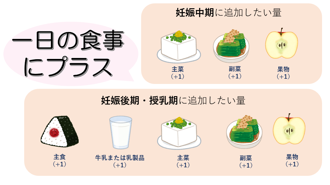妊娠中期から授乳期にかけて付加したい食品の目安