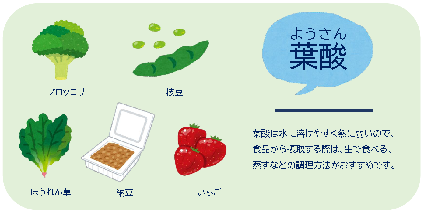 葉酸の働きと葉酸を多く含む食材