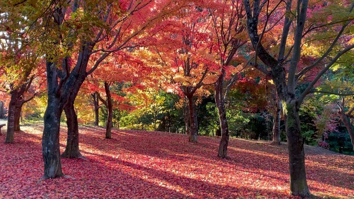 出早公園
