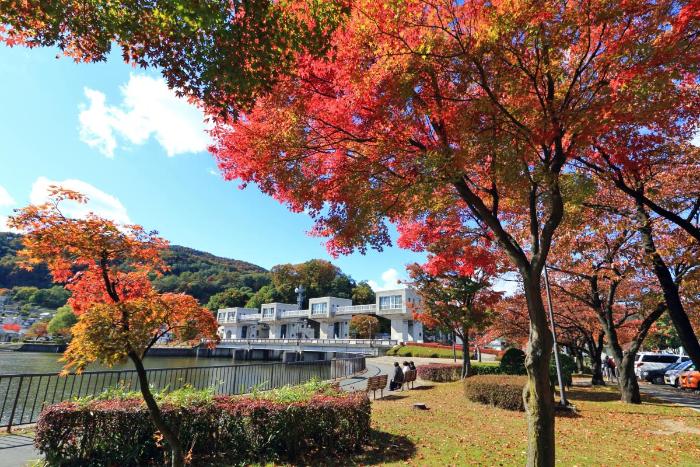 諏訪湖 釜口水門の紅葉