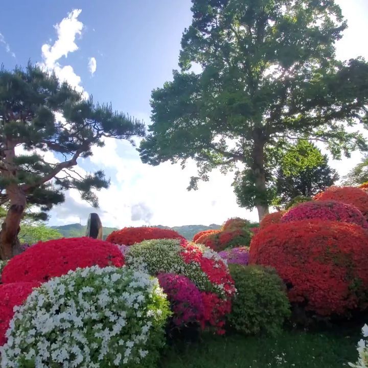 tutuzinokou