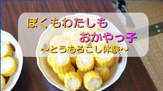 とうもろこし収穫体験