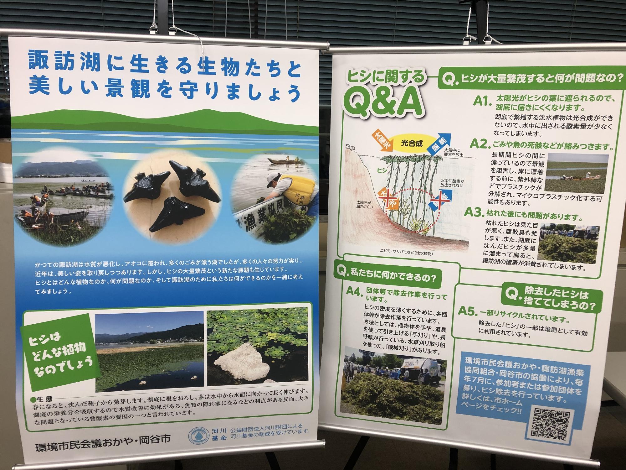 令和5年度ヒシ除去体験事業3