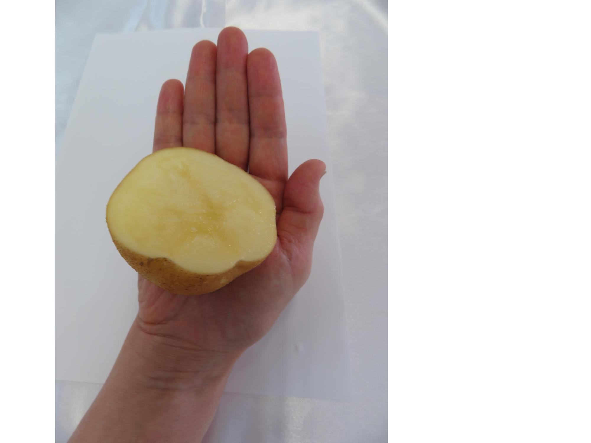 じゃがいも100g手ばかり写真