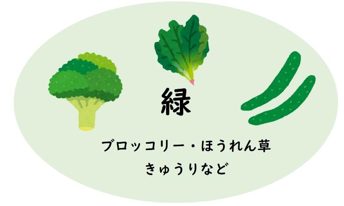 緑色の食材とされるブロッコリー、ほうれん草、きゅうりのイラスト