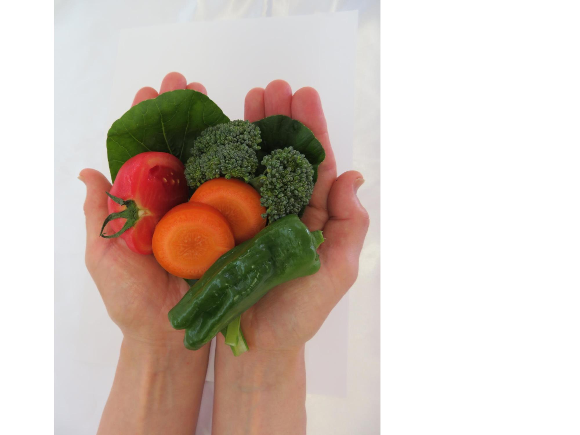 緑黄色野菜120gの手ばかり写真