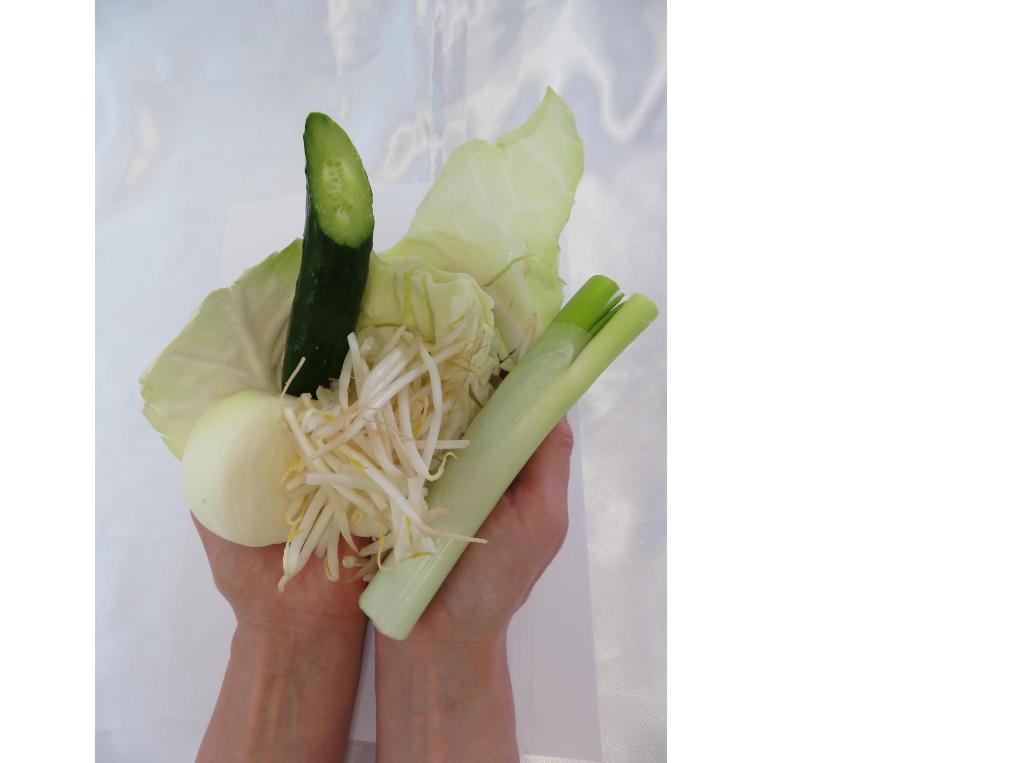 淡色野菜240g手ばかり写真