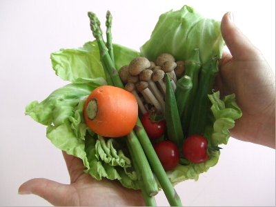 手のひらに350グラムの野菜をのせた写真