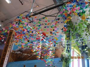 ディスカバリーミュージアムの天井から吊るされて展示されている、色様々な千羽鶴の写真