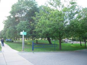 ネルソン公園に植樹された木々の写真