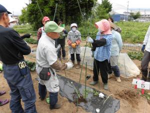 説明をしている人とそれを見ている人たちの研修農園の写真