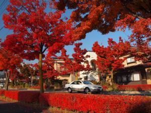 秋空で東町線の赤く生い茂った紅葉と中央に駐車している車の写真