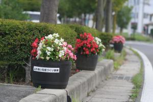 路肩に鉢に植えた花が一定間隔で並んでいる写真