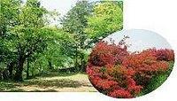穏やかに晴れた緑豊かな森林と赤く色づいた木々がある花岡公園の写真