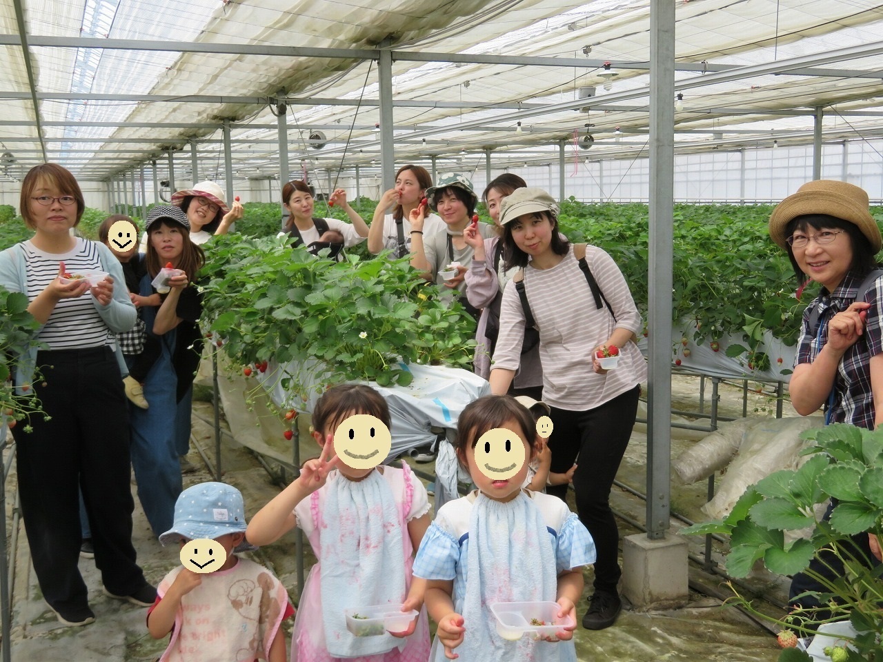 R8今日はみんなでイチゴ狩り
