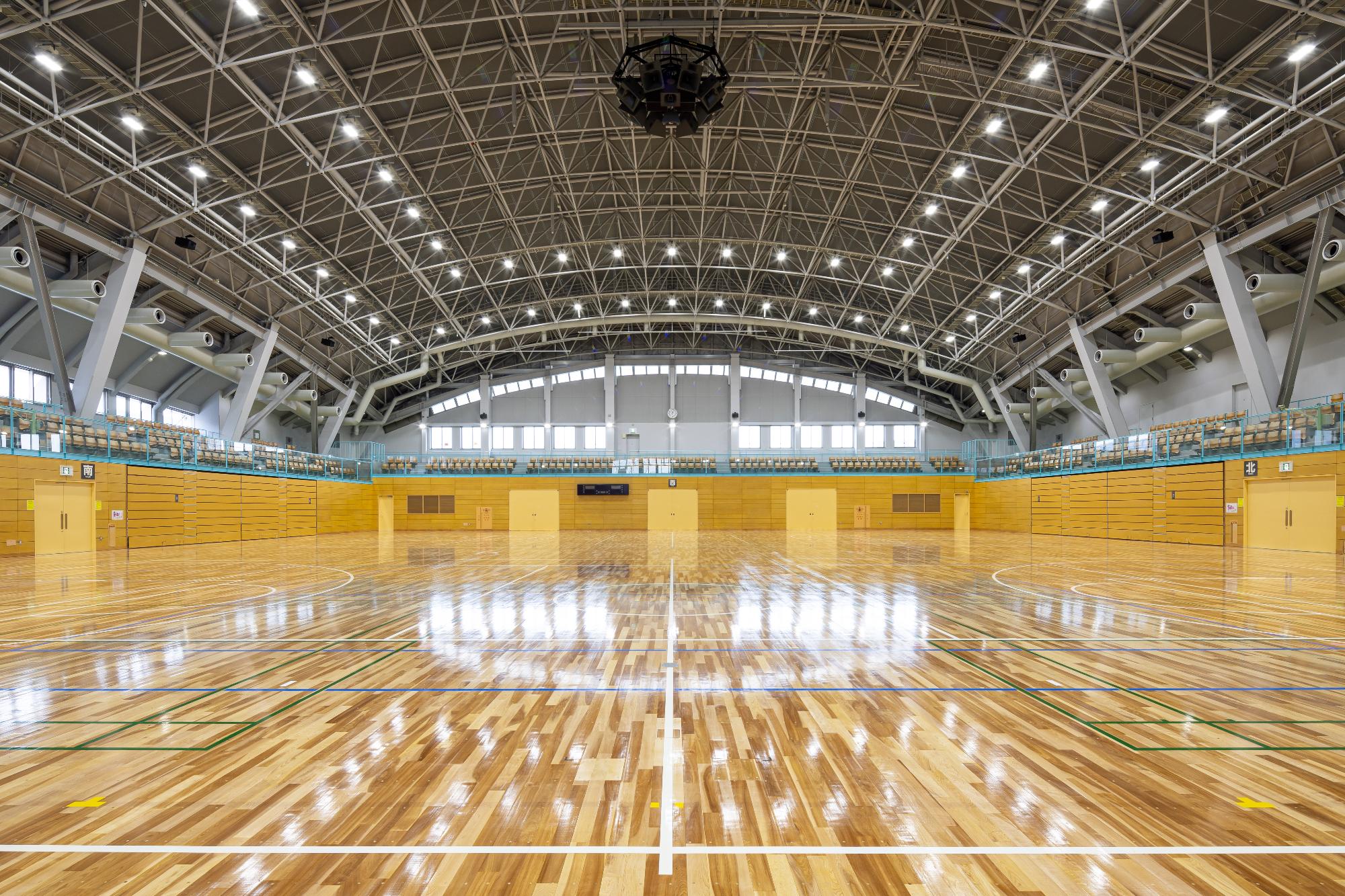 スワンドーム整備後