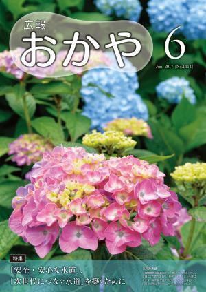 平成29年6月号