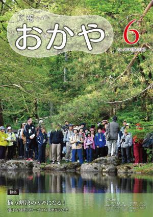 平成30年6月号