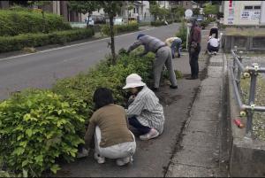 数名の人たちが道路の横の植え込みの草刈りをしている様子の写真