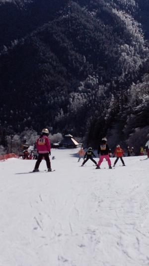 子どもたちが雪原でスキーをしている中で奥に山と森が写っている写真