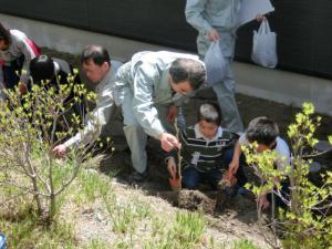 屋外で大人たちと子どもたちが桑の木を植樹している写真