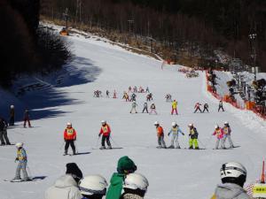 晴れた広いゲレンデで子どもたちがスキーをしている写真
