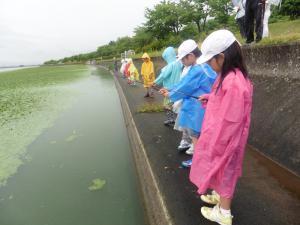小雨の中、湖の手前で子どもたちが合羽を着て釣りをしている写真