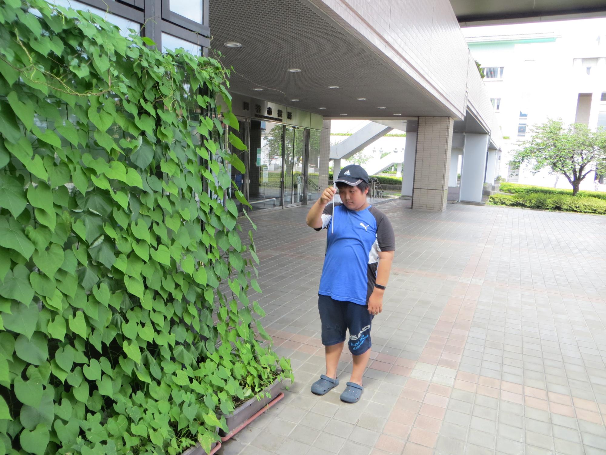測定の様子