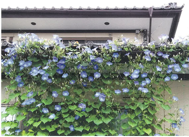 R2一般の部最優秀賞