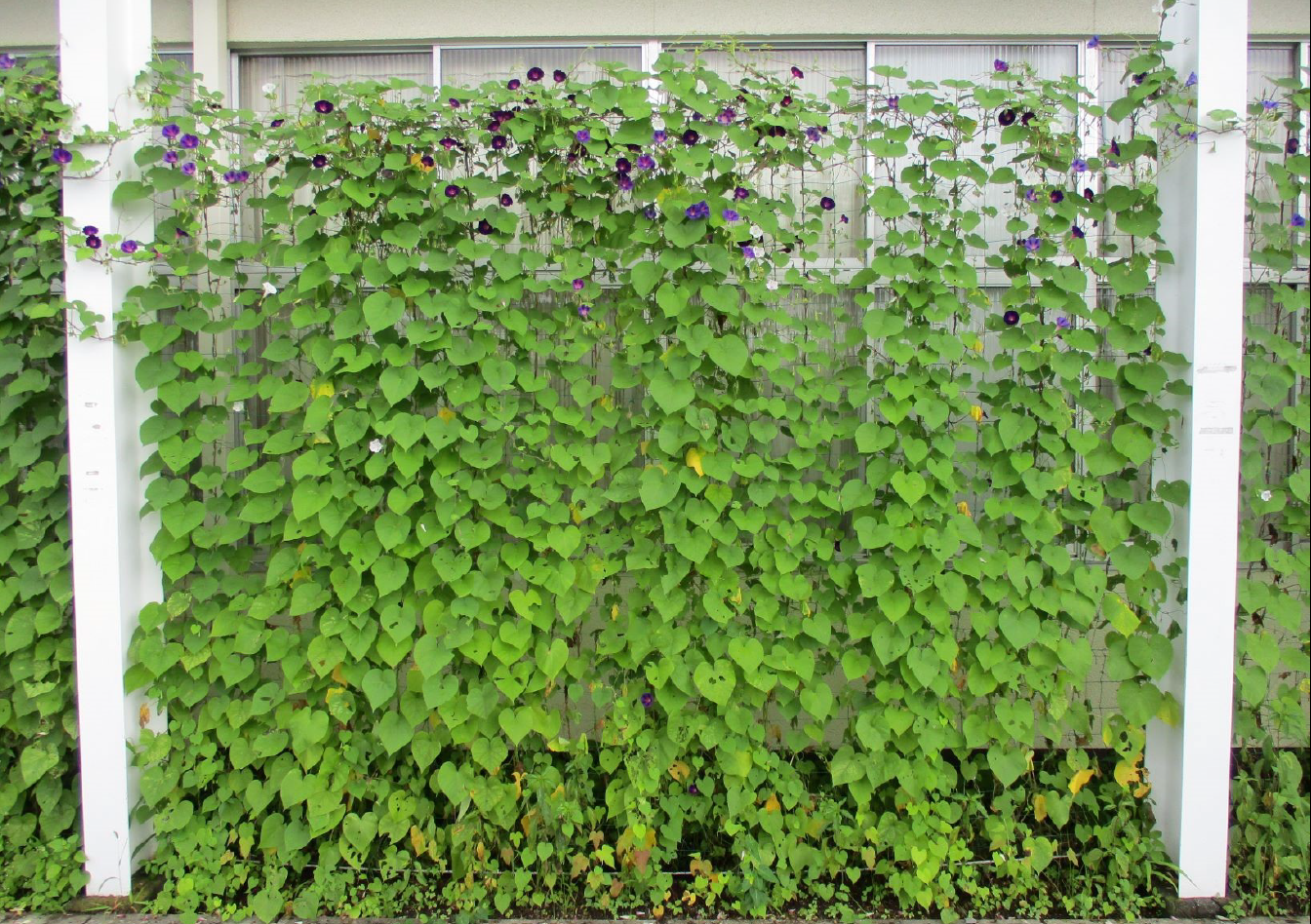 R2企業・団体の部佳作1