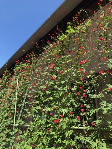 R2企業・団体の部最優秀賞