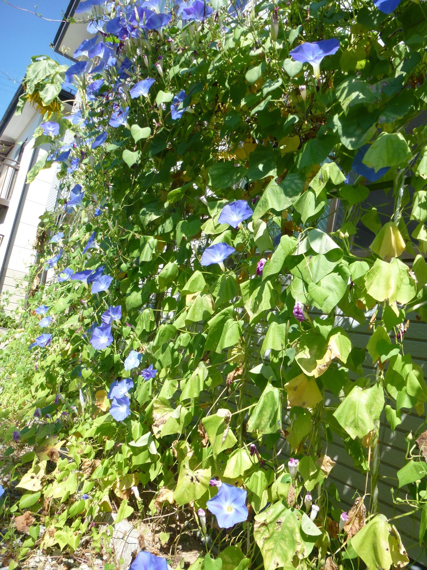 R2一般の部優秀賞1