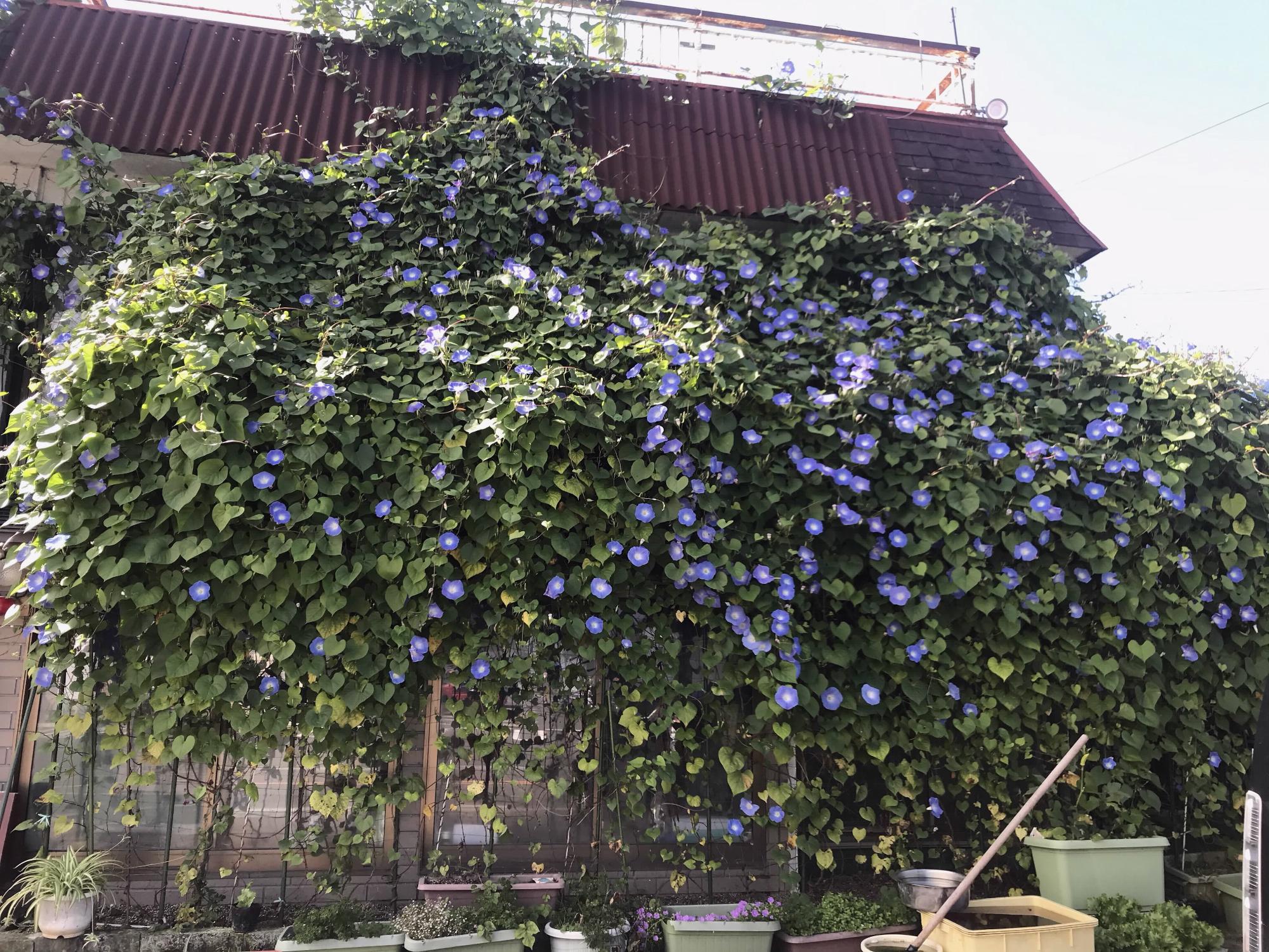 R2企業・団体の部優秀賞2