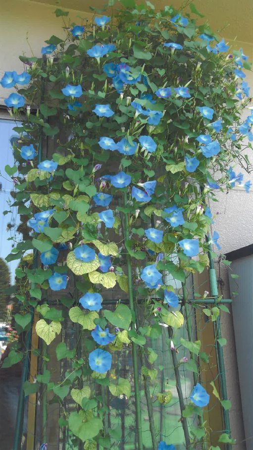 R2一般の部佳作3