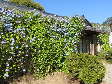 R4一般の部最優秀賞