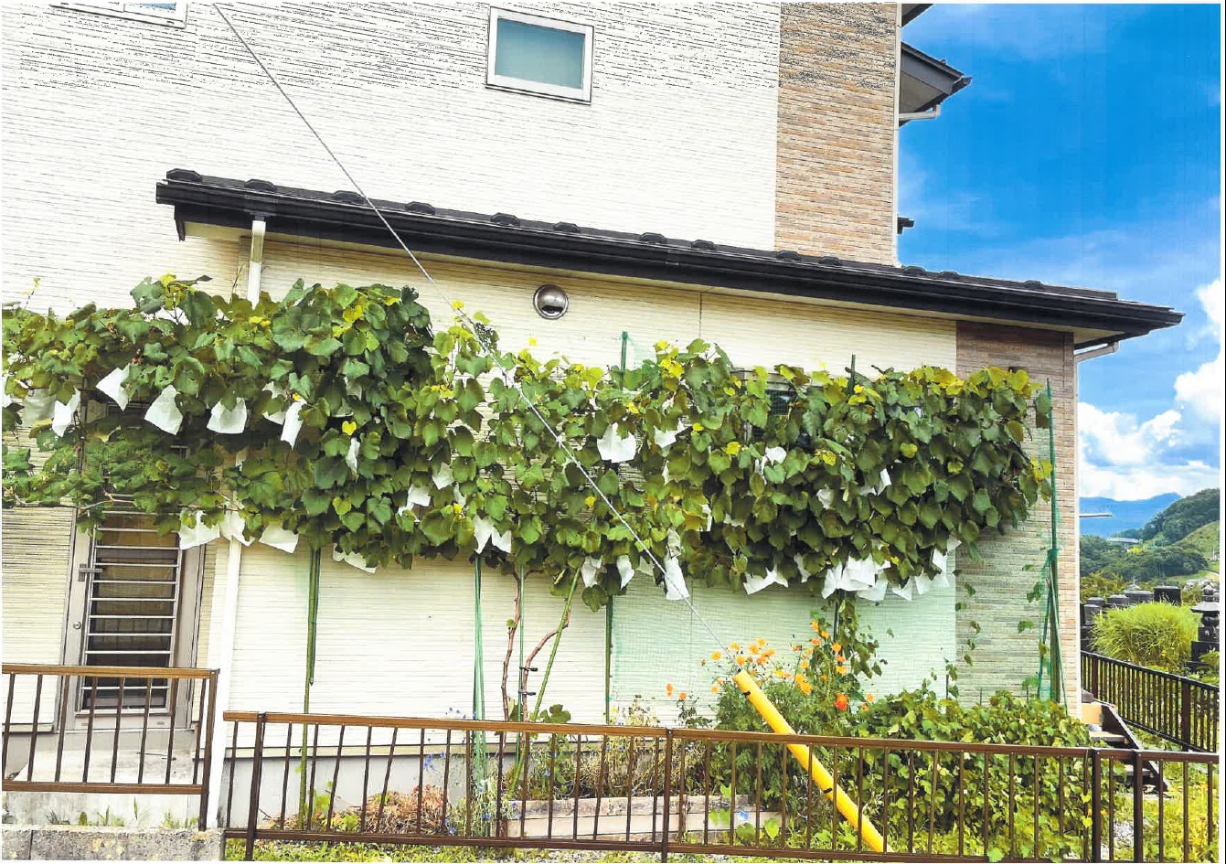 R4一般の部佳作2