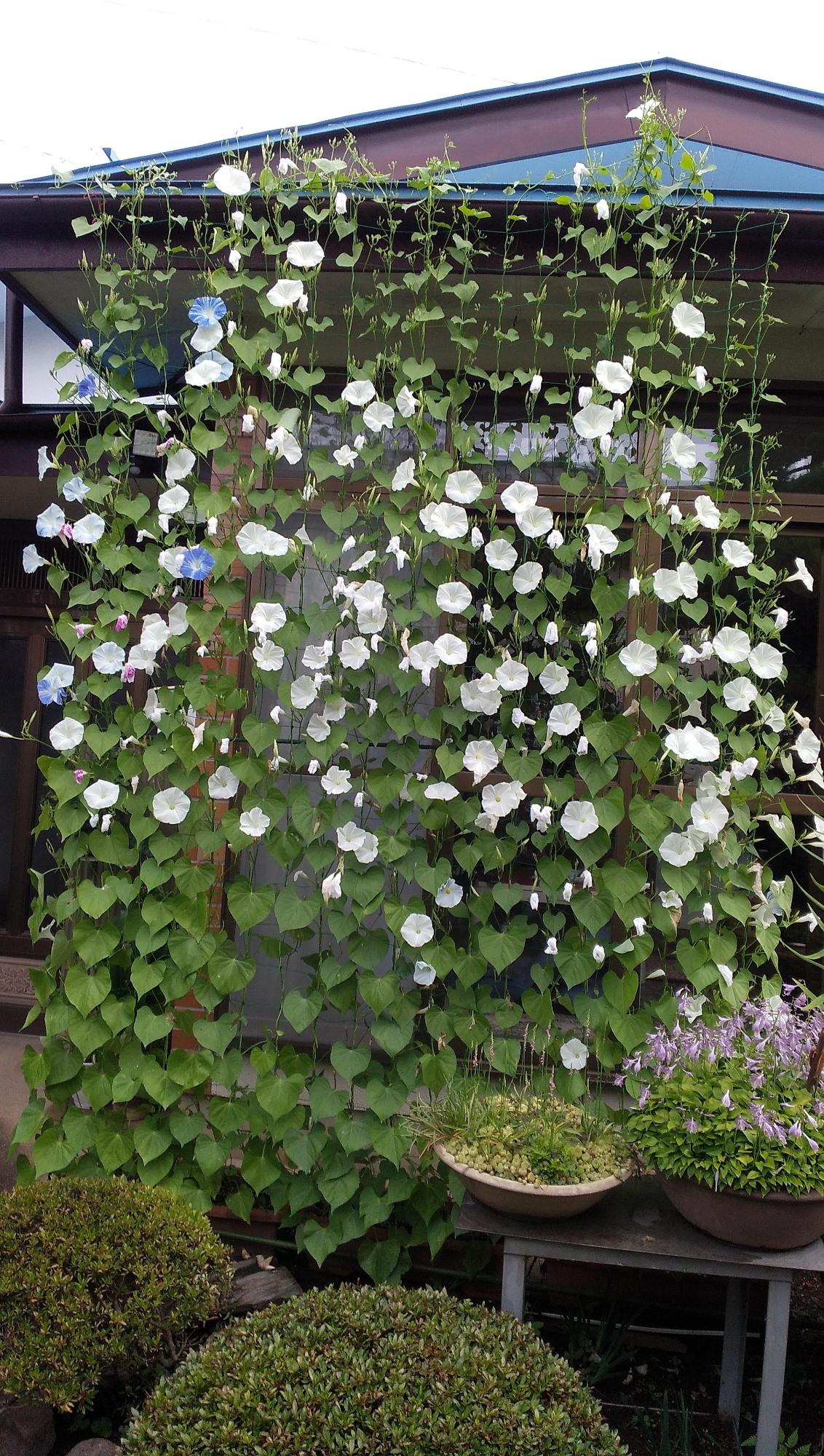 R4一般の部佳作3