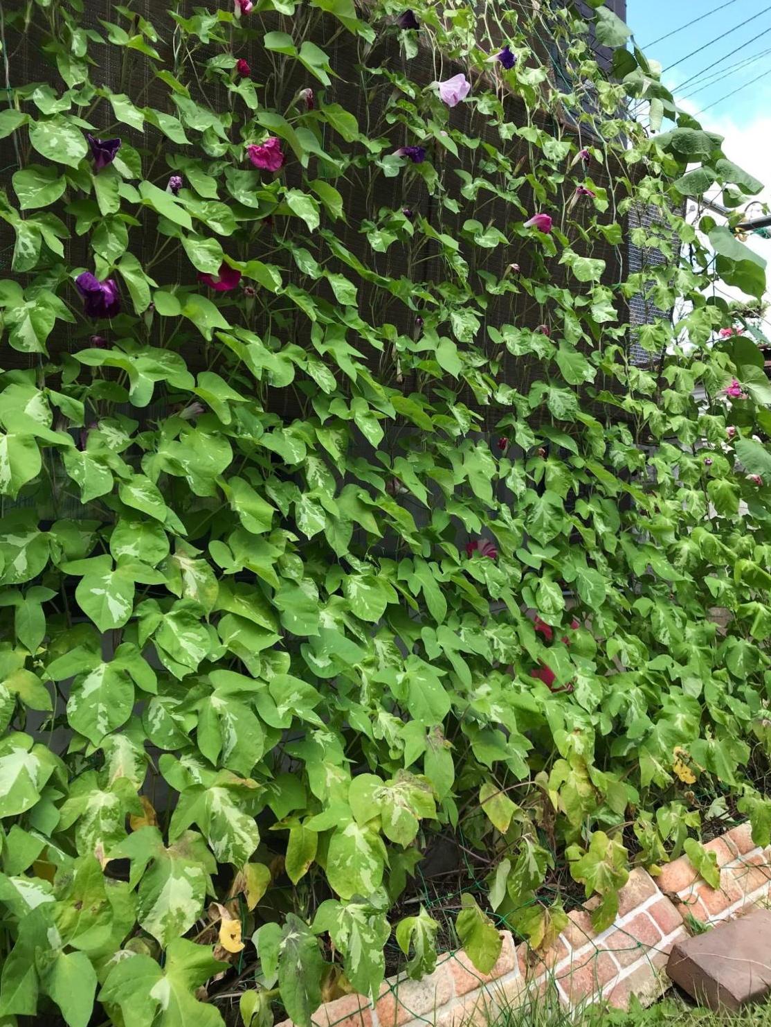 R4一般の部優秀賞1