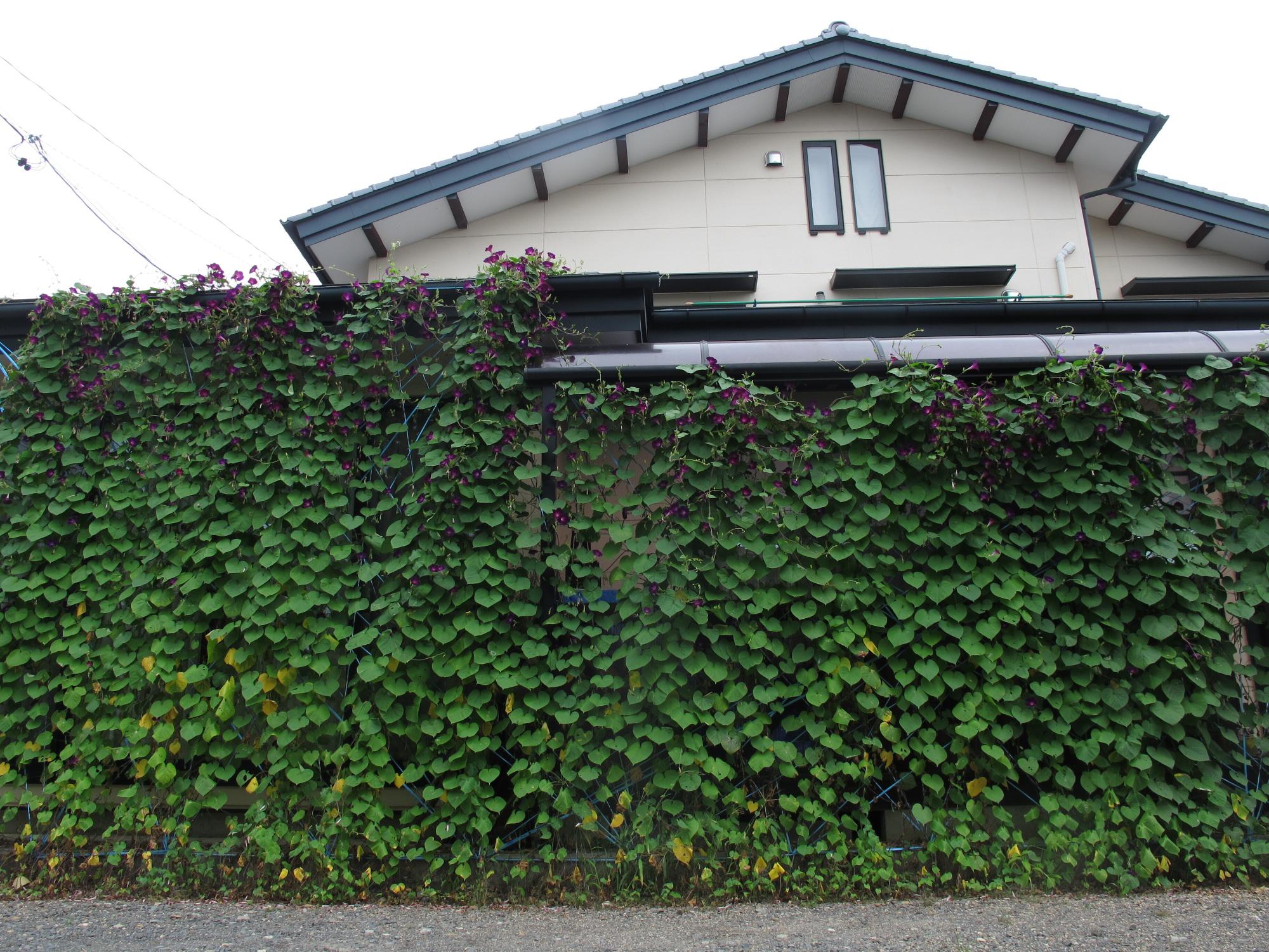 R4一般の部優秀賞2